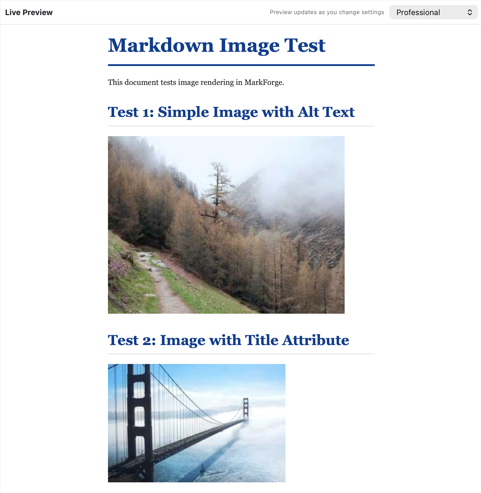 Image Support